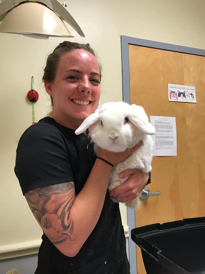 bunny with vet staff